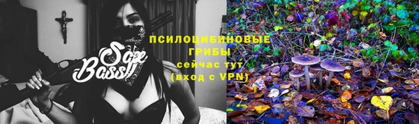 МДМА Гусиноозёрск